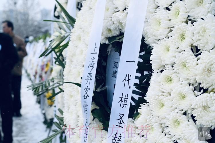 聂卫平遗体送别仪式在京举行 聂卫平遗体送别仪式在京举行